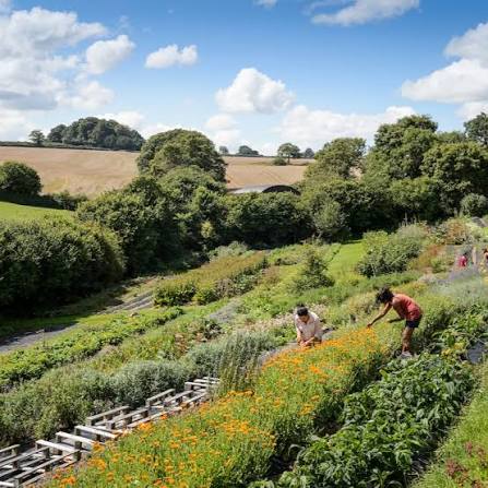 Organic Herb Trading farm with people tending rows of herbs and flowers in the countryside